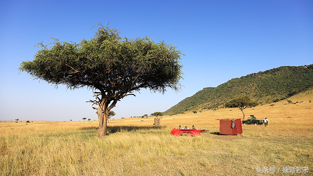 肯尼亚动物大迁徙旅游,肯尼亚迁徙之旅