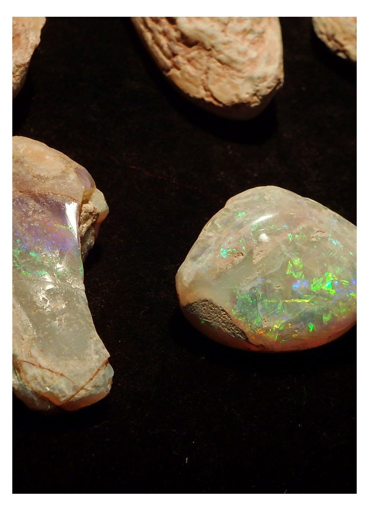 欧泊变色龙,变色龙欧泊