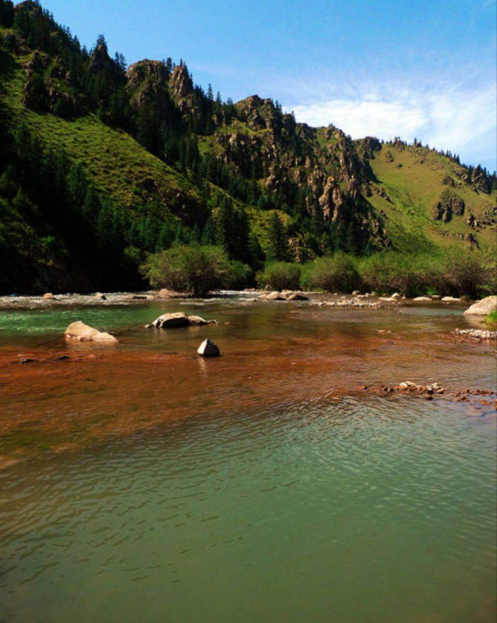 世界第一大马场有多少匹马,世界最大的军马场