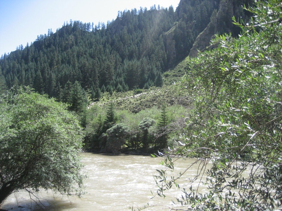 世界第一大马场有多少匹马,世界最大的军马场