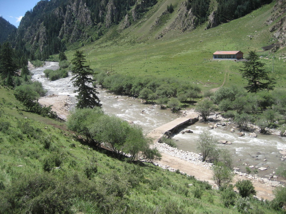 世界第一大马场有多少匹马,世界最大的军马场