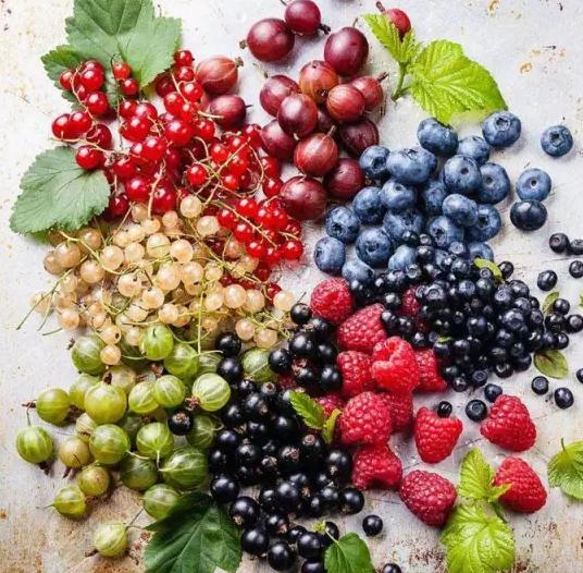 入门须知最常见的葡萄酒五大误区,一些你不知道的葡萄酒小知识