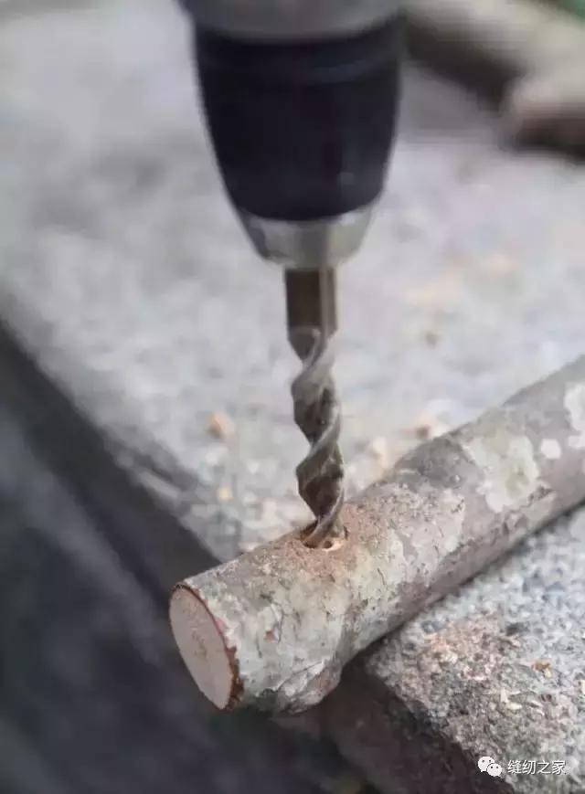 生活创意｜捡几根枯树枝搁家里，竟然有十几种用途简直成了家里的装饰品，一道风景线