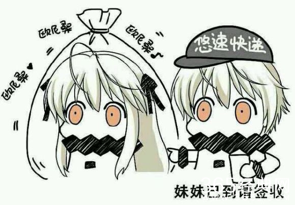 二次元圈子的专业术语,二次元基本术语和常识