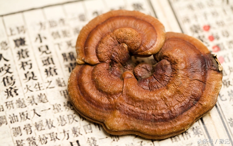 老当益壮成就,老当益壮的勇气和担当