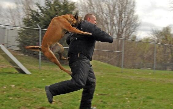 最近运势好吗,最近运气特别好是好事吗