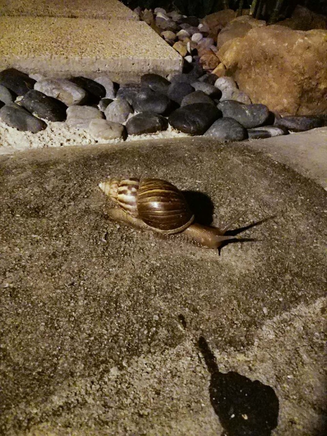 兰卡威一日游详细攻略,兰卡威3天2晚的自由行攻略