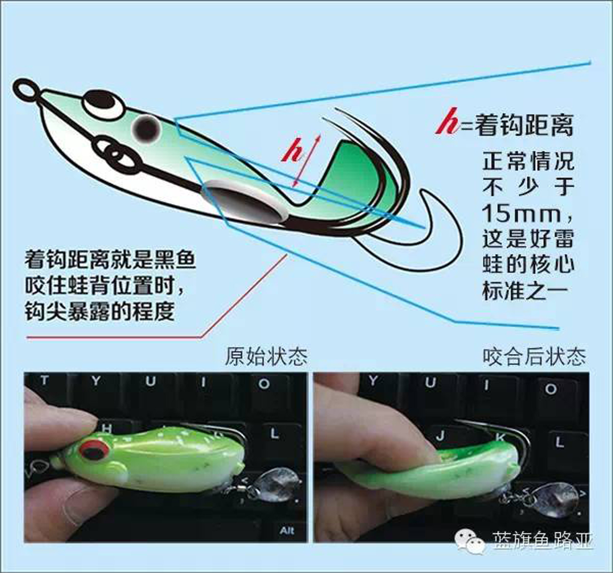 雷强纪录片完整版,雷强最好用的雷蛙