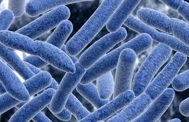 一岁宝宝误食蜂蜜,新生儿误食蜂蜜怎么补救