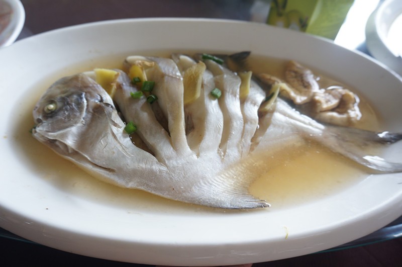 深夜食堂治愈你的胃,舟山深夜食堂