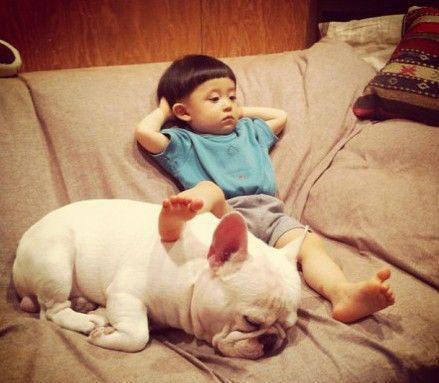 备孕可养狗狗吗,想备孕能养狗狗吗