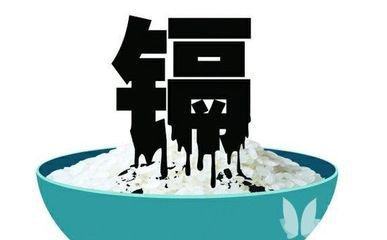 你身边的哪些食物有可能把重金属带进你的身体？危害可不小啊