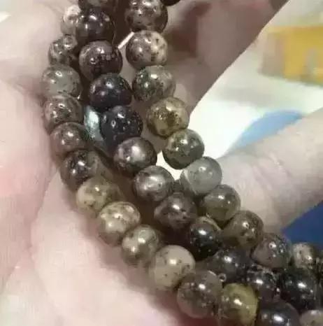 星月入门指南｜这几个问题你不懂就糗大了