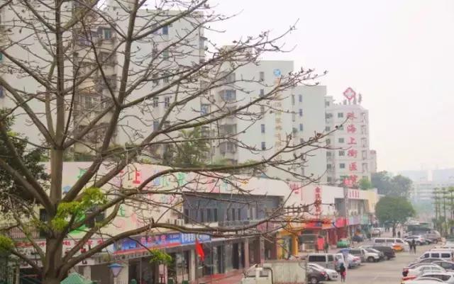 珠海城中村租房,珠海香洲区城中村租房