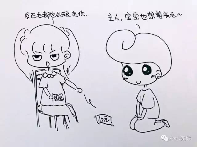 女朋友养狗是一种怎样的体验?