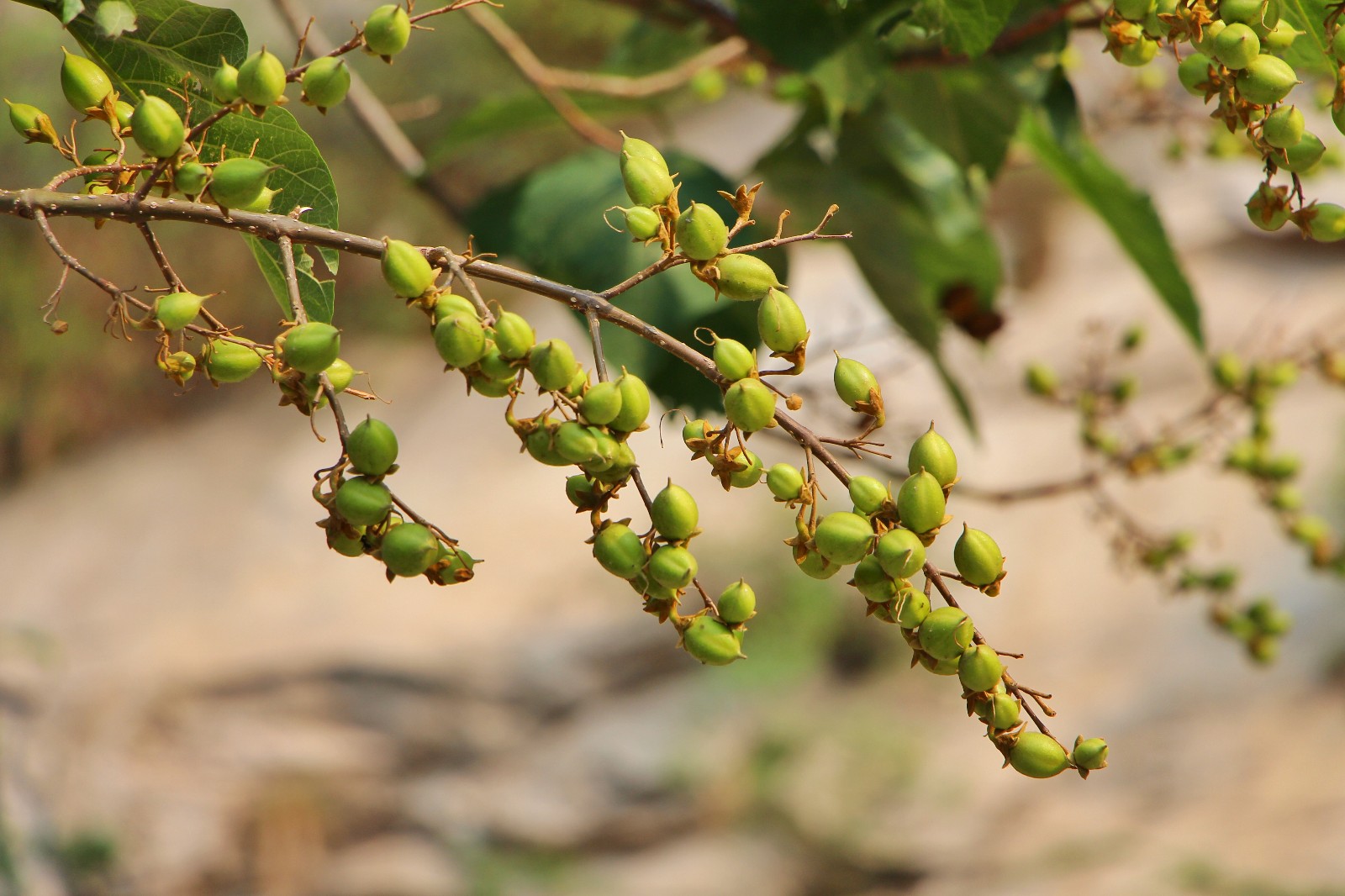 大美怀柔，在旧时光里怀念，在山水中吟唱