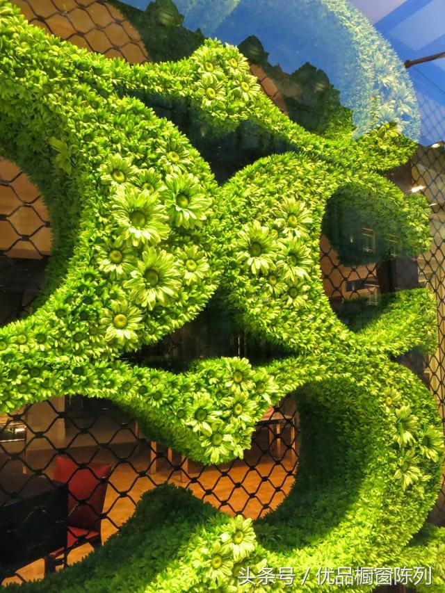 带你看遍所有车型,带你看遍大牌包包