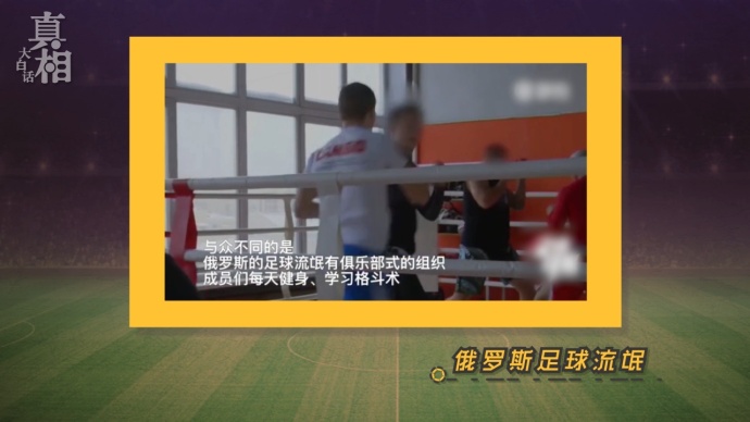 足球史上的十大暴力事件,足球流氓简介