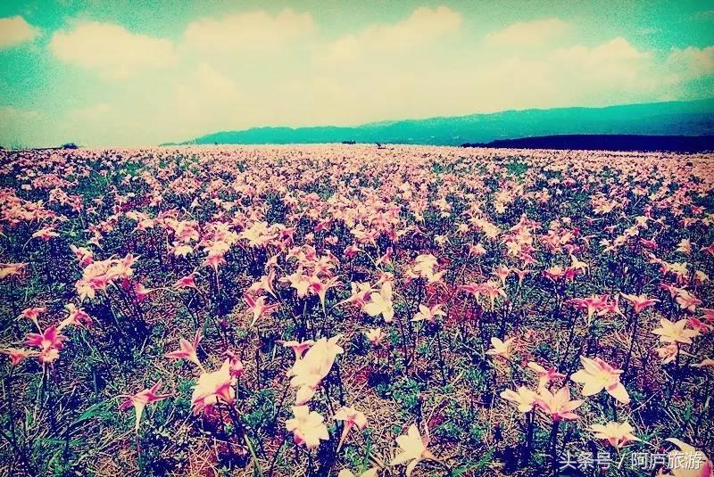 浣犵殑鍚嶅瓧鍗楀崕,浣犵殑鍚嶅瓧鎯呰妭