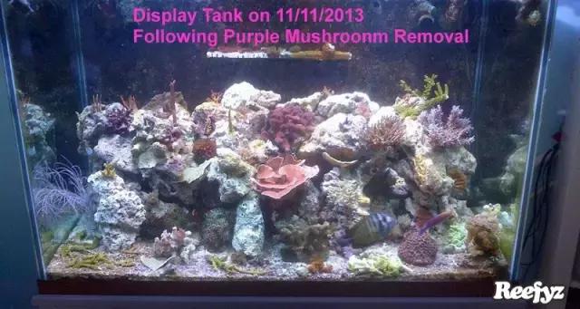 天啊，又是火灾又是炸缸，这可能是最倒霉的鱼友了！