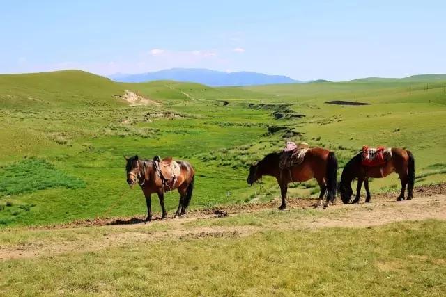 青海到苏州旅游攻略,苏州去青海最佳路线攻略