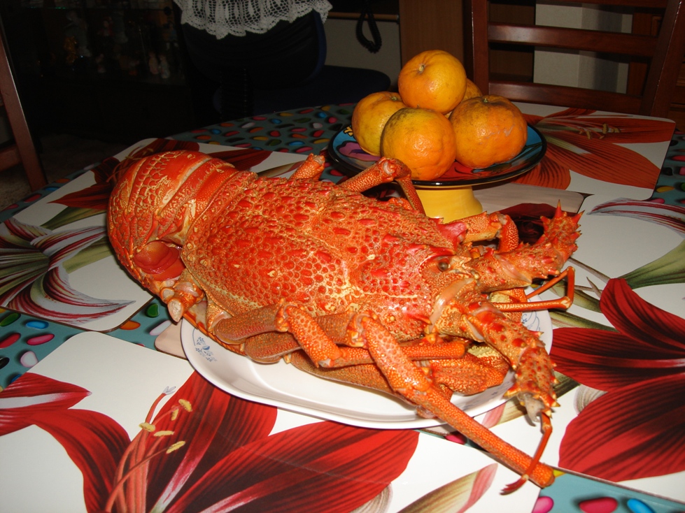 新西兰海鲜美食,新西兰人吃中国美食