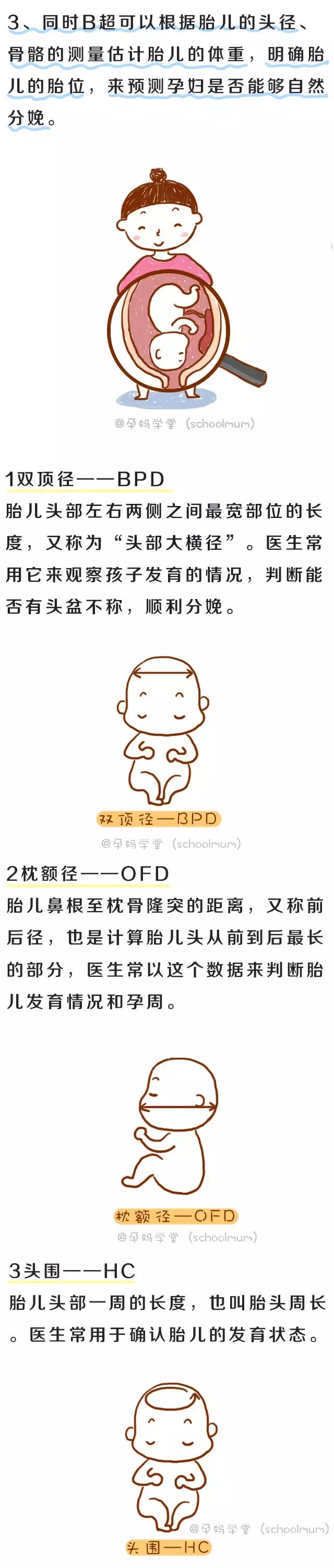 3分钟读懂孕期B超单！胎宝发育是否正常，答案都在这些数据里！