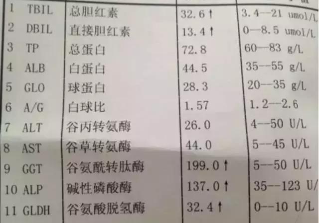 女朋友是乙肝病毒携带者,女朋友是乙肝患者我怎么办