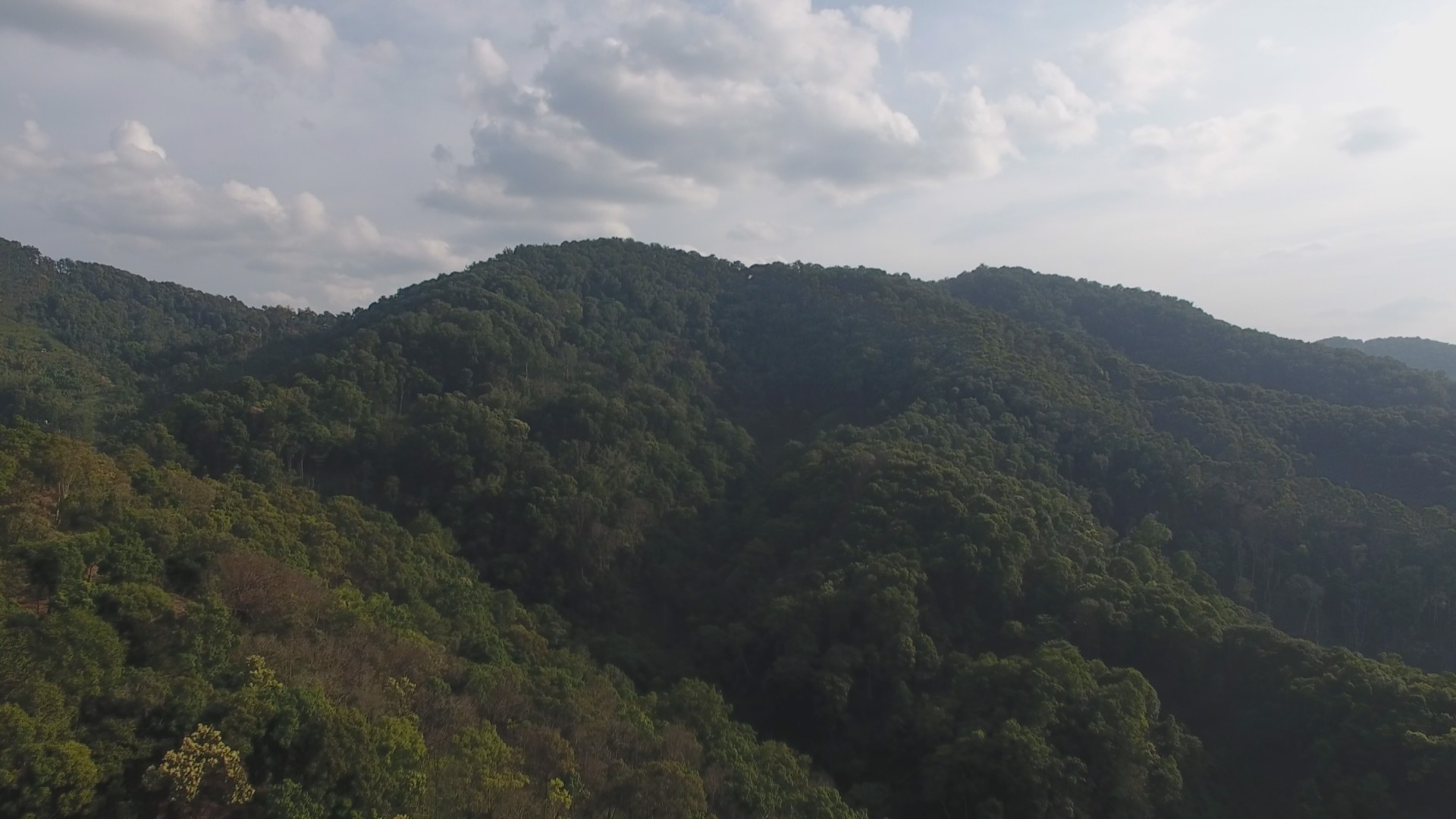 无量山小茶砖,野生大叶普洱茶砖