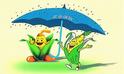 新政即将出台，农民每人最少也有300元补贴地域不同补贴标准不一快看看你的在哪？