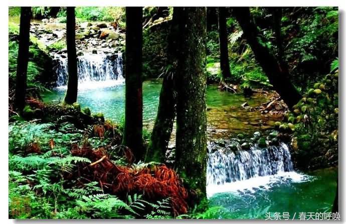 台湾阿里山仙境美如画,台湾省阿里山风景