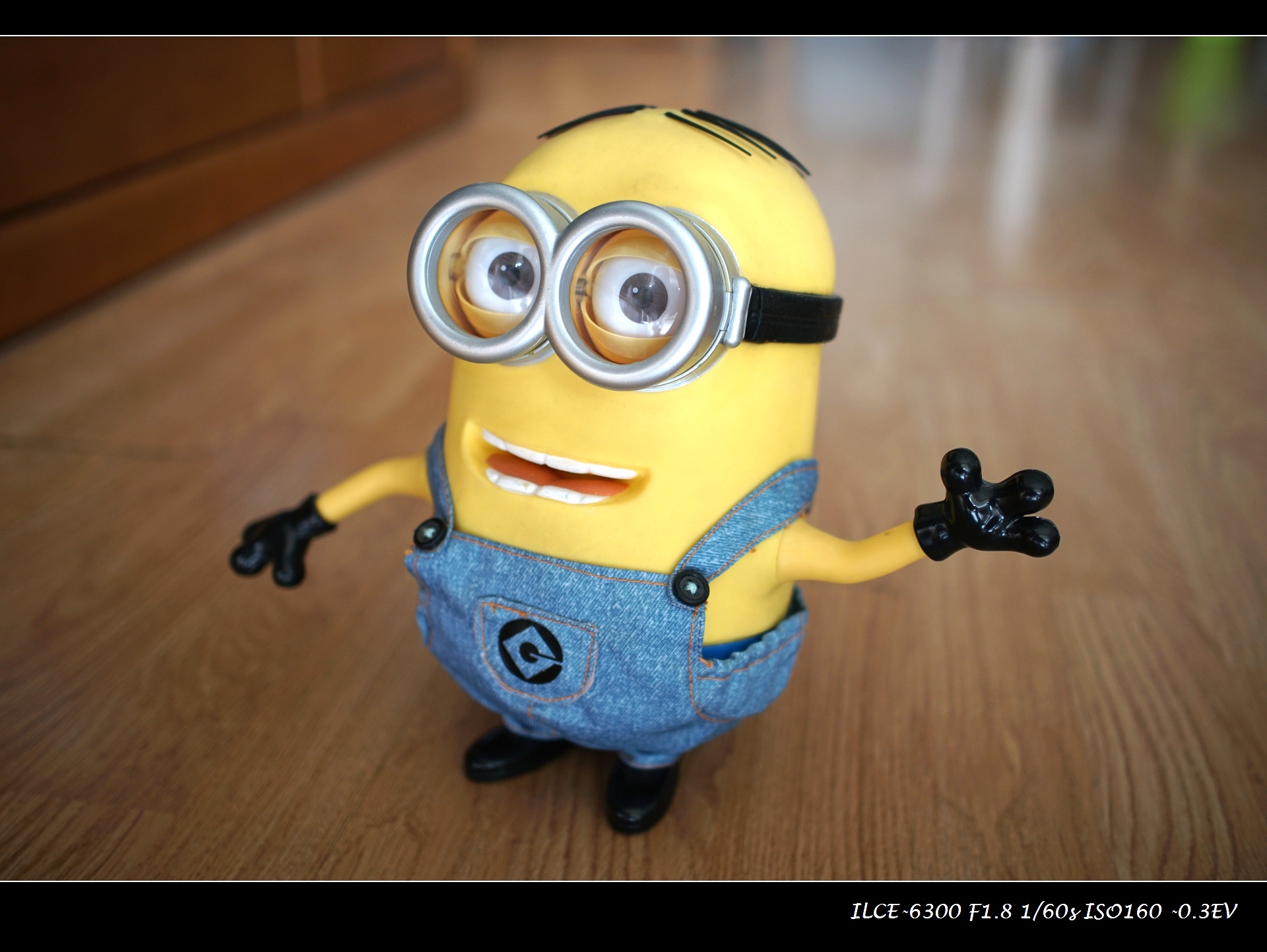 索尼微单a6000和a6300,索尼a6300微单摄影入门教程