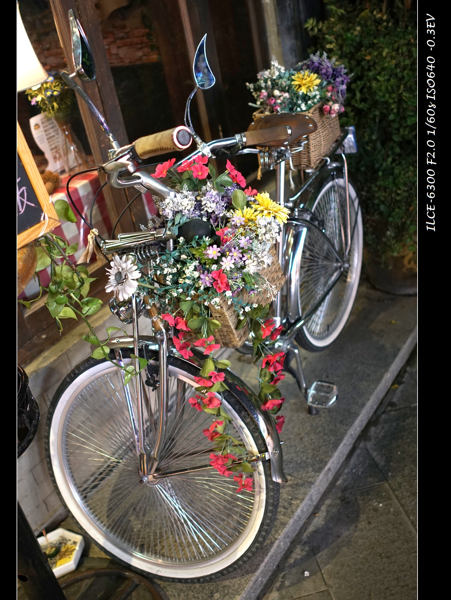 索尼微单a6000和a6300,索尼a6300微单摄影入门教程