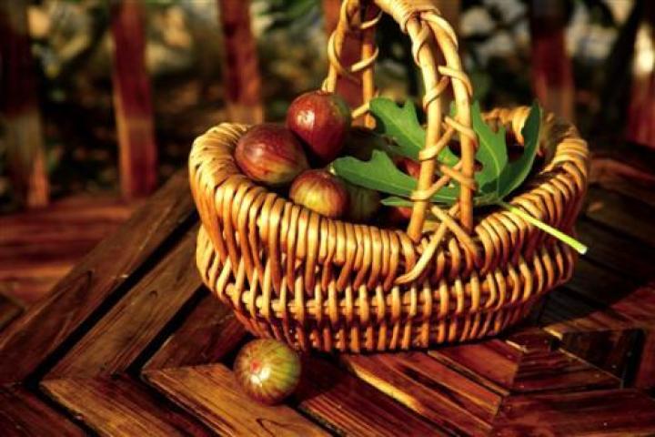 2020年威远无花果节,四川无花果节