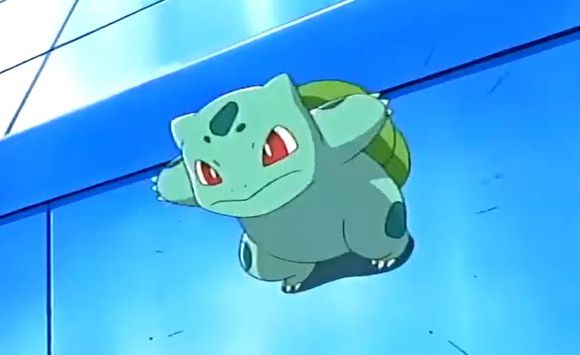 小智的最厉害的宠物小精灵,宠物小精灵第一部小智收服的精灵