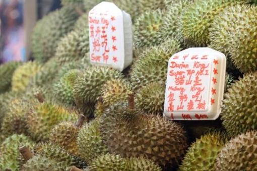 新加坡榴莲多少钱一斤啊,新加坡榴莲价格多少
