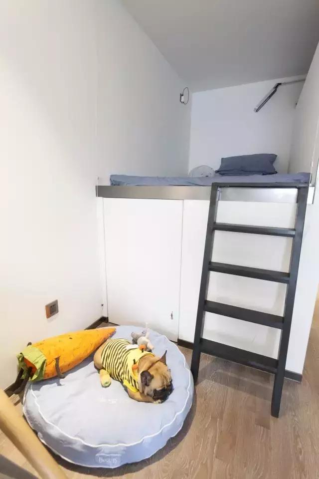 36㎡打造乐活居,你什么样,生活就什么样!