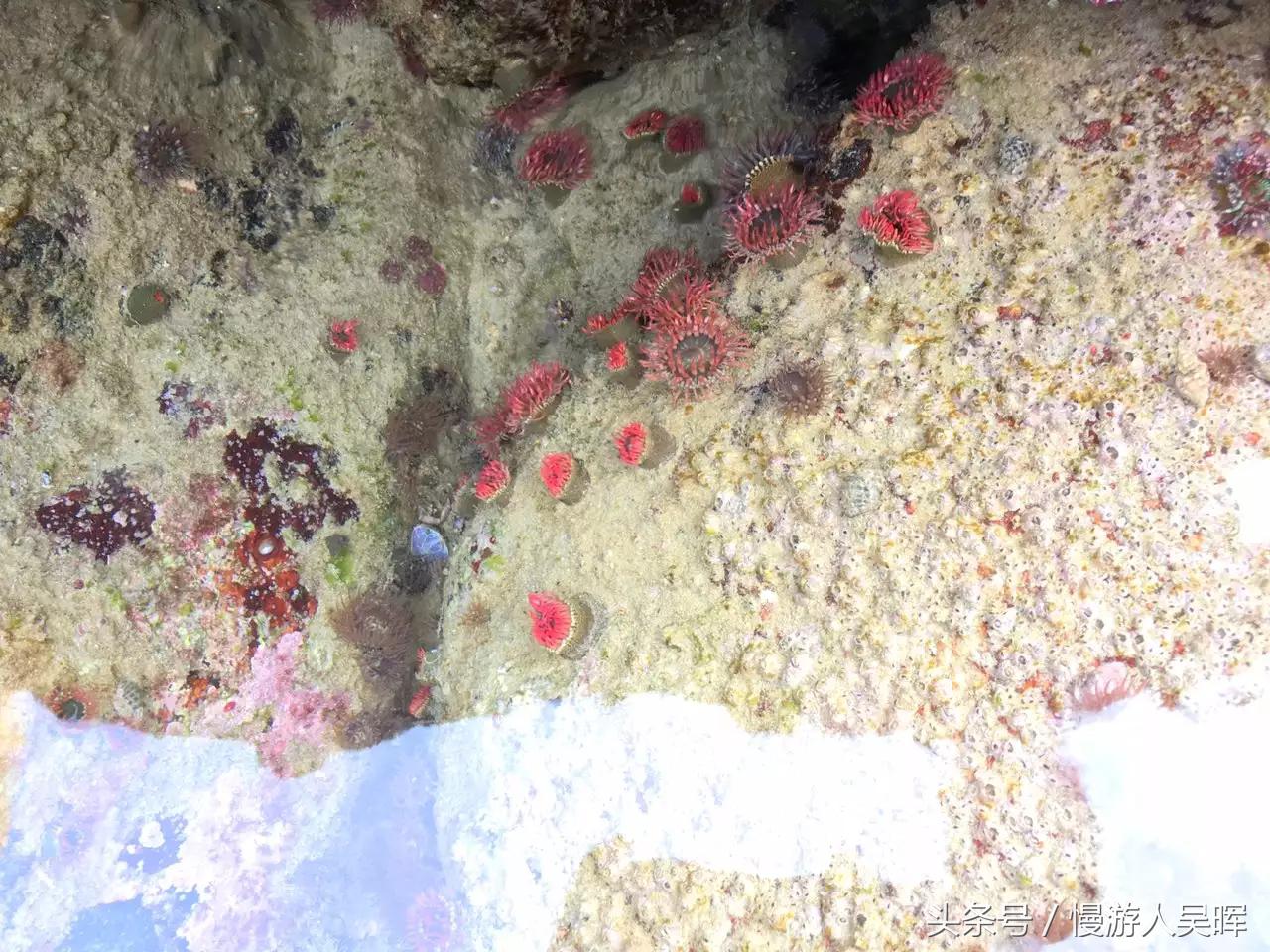 海南岛三亚和万宁哪个好玩 (海南三亚琼海自由行)