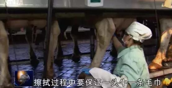 国产奶粉标准和国外奶粉标准,国产奶粉与国外奶粉区别