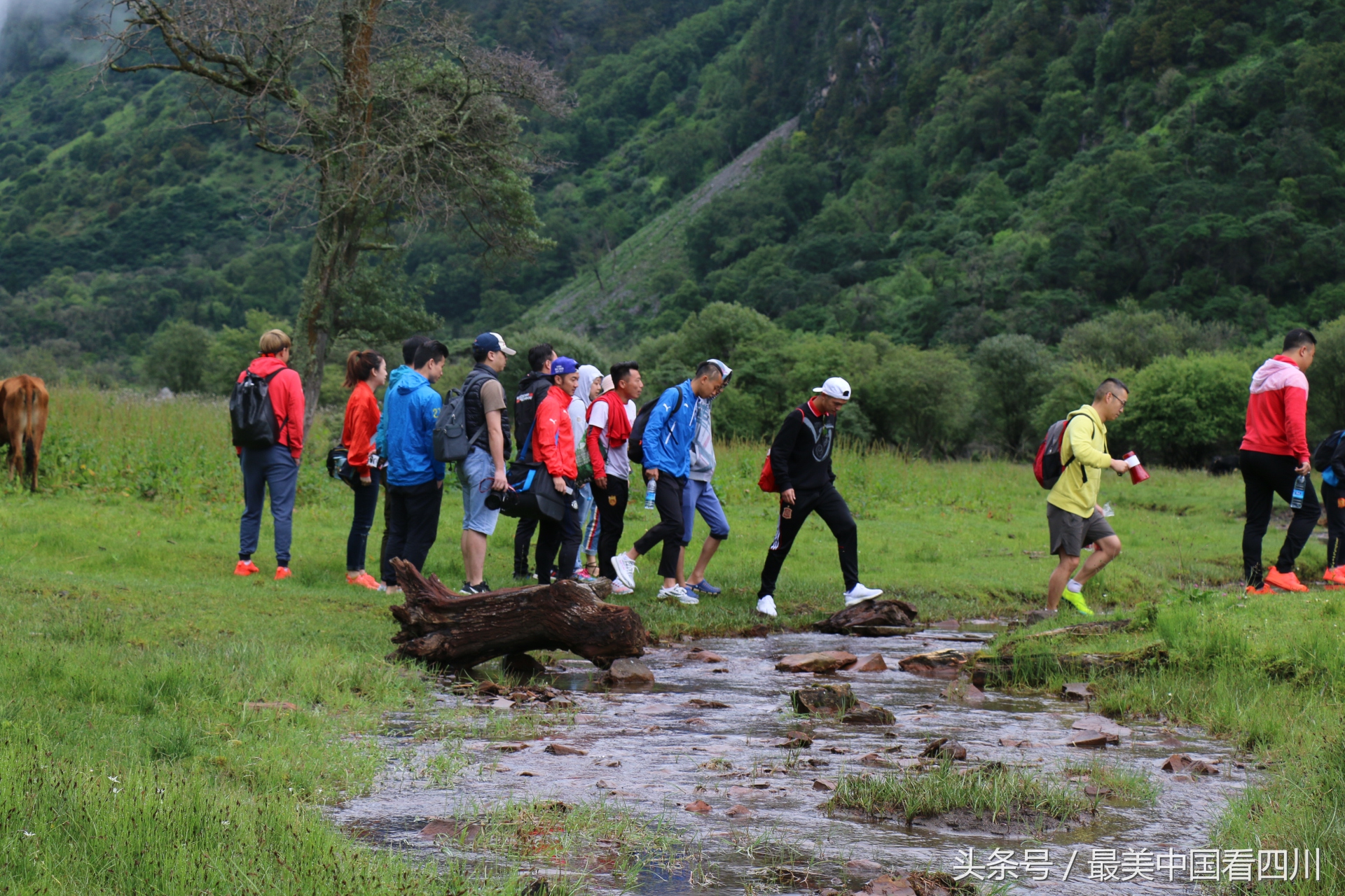 川渝邀请赛足球,川渝足球对抗赛