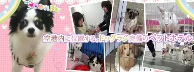 请收藏！一份超级实用的航班延误“娱乐指南”