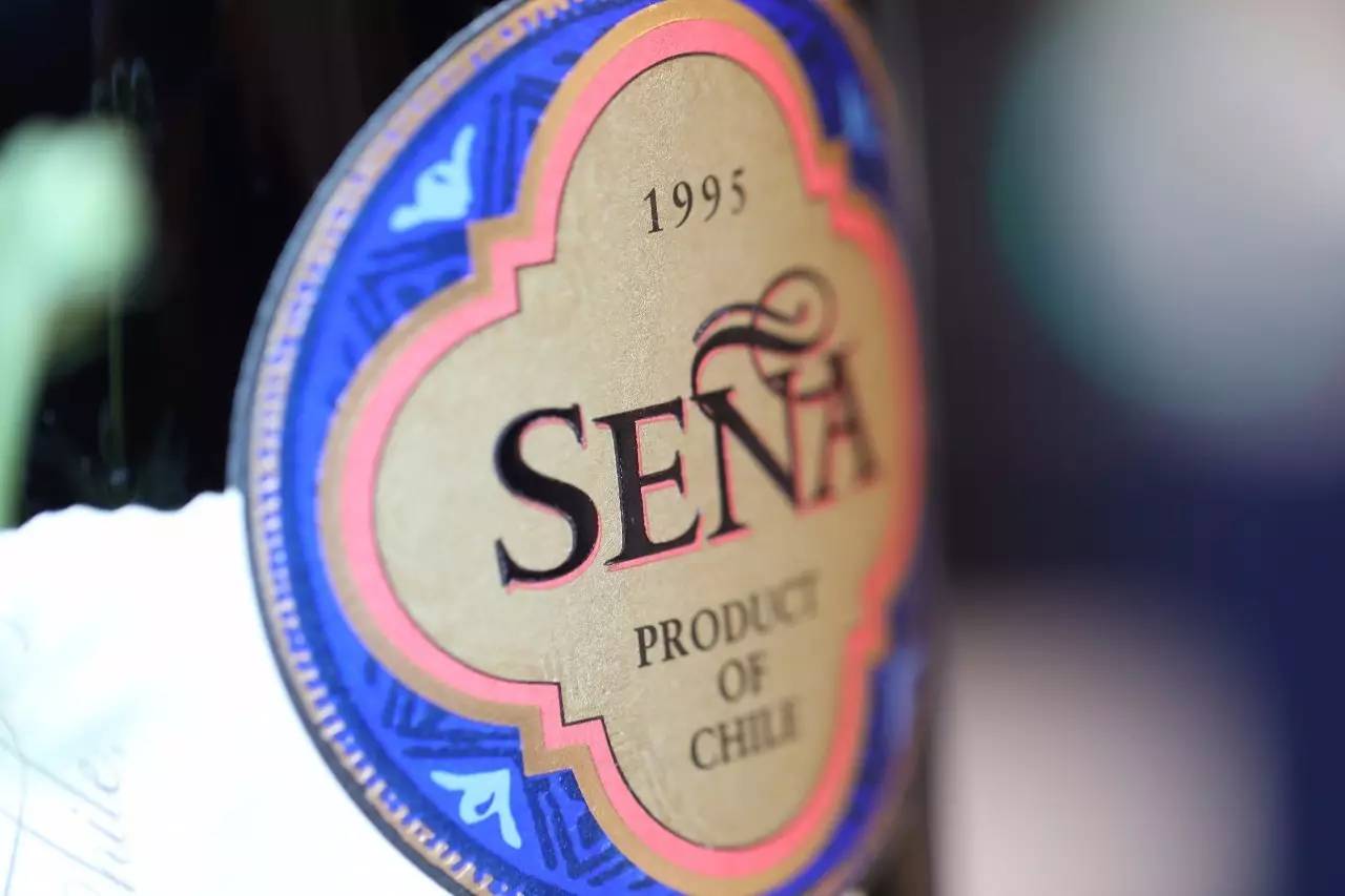 智利名庄原瓶,智利名庄原瓶进口酒1865