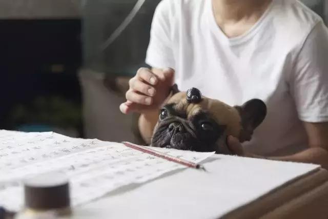 36㎡打造乐活居,你什么样,生活就什么样!