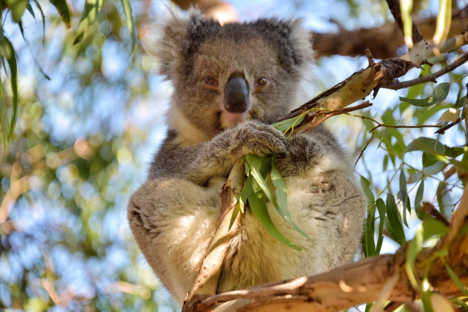 南大洋的深海,南大洋海域