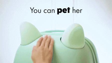 买到不好看的行李箱怎么办,想买个行李箱不知买什么牌子的好