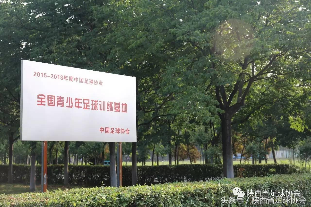 陕西足球背后人物系列丨丈八训练基地绿茵美容师，高温下坚守一线保障场地