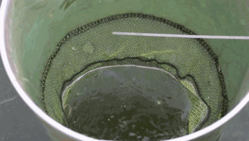 隐藏在昆明村庄里的3家烤羊店，老司机用3个月才找到的