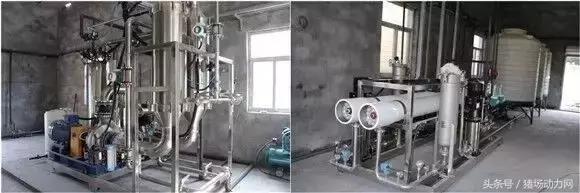 猪场发展与环保,猪场环保问题