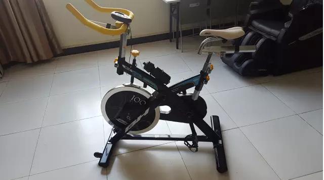 世界十大动感单车品牌,动感单车各品牌测评