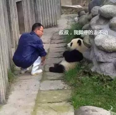 未来中国体面而收入高的十大职业,10大最赚钱职业排行榜